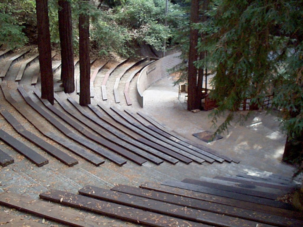 Cathedral Grove